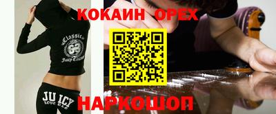 гашик Будённовск