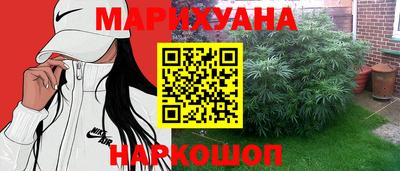 гашик Будённовск