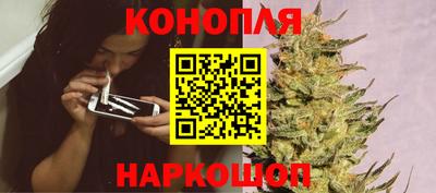 гашик Будённовск