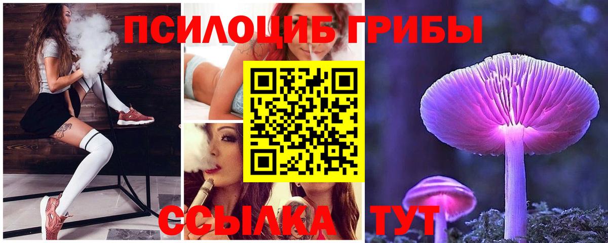 где купить наркотик  Вход с VPN  Фролово  Галлюциногенные грибы Cubensis  Псилоцибиновые грибы Psilocybine cubensis 